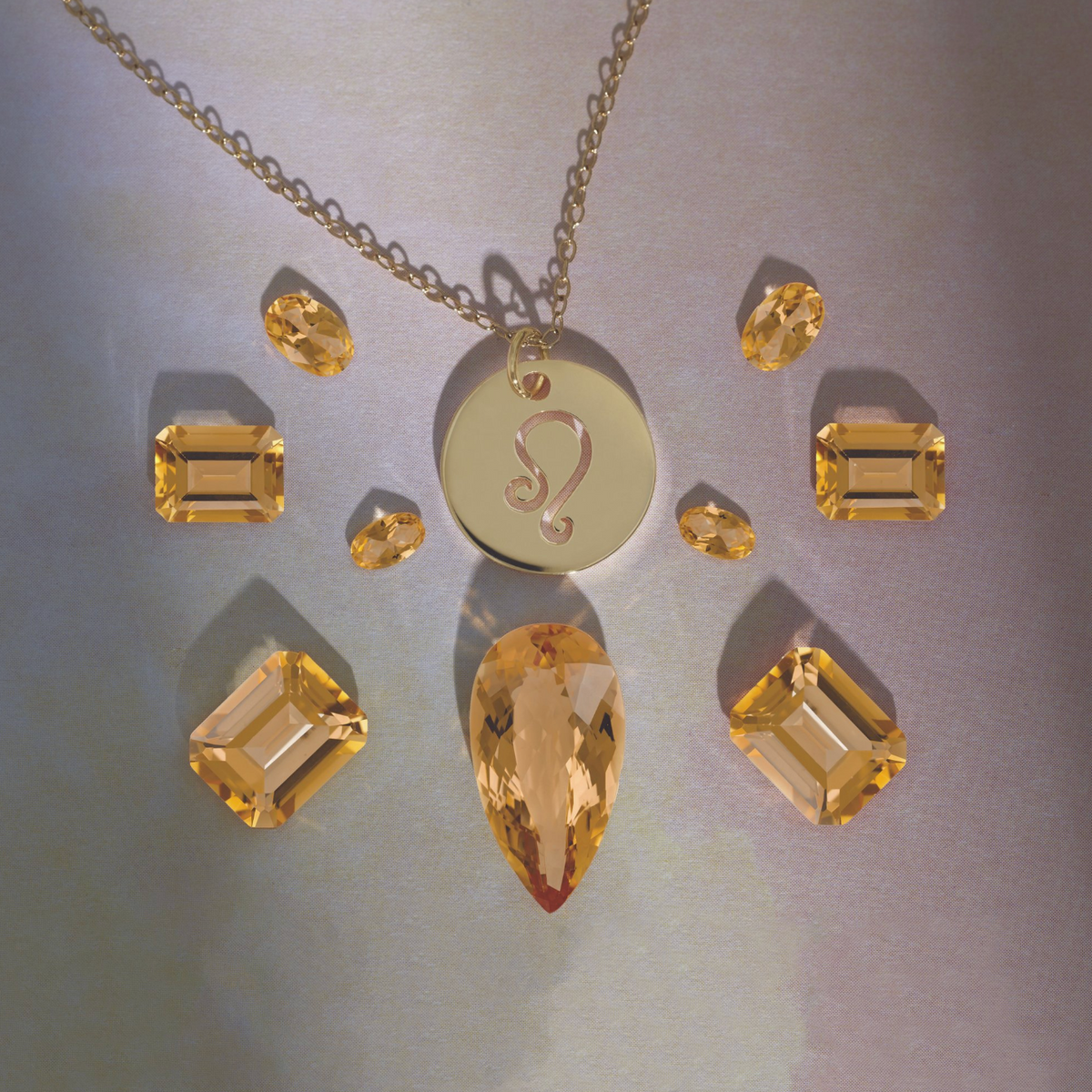 The Zodiac Necklace | Leo | 14K Gold