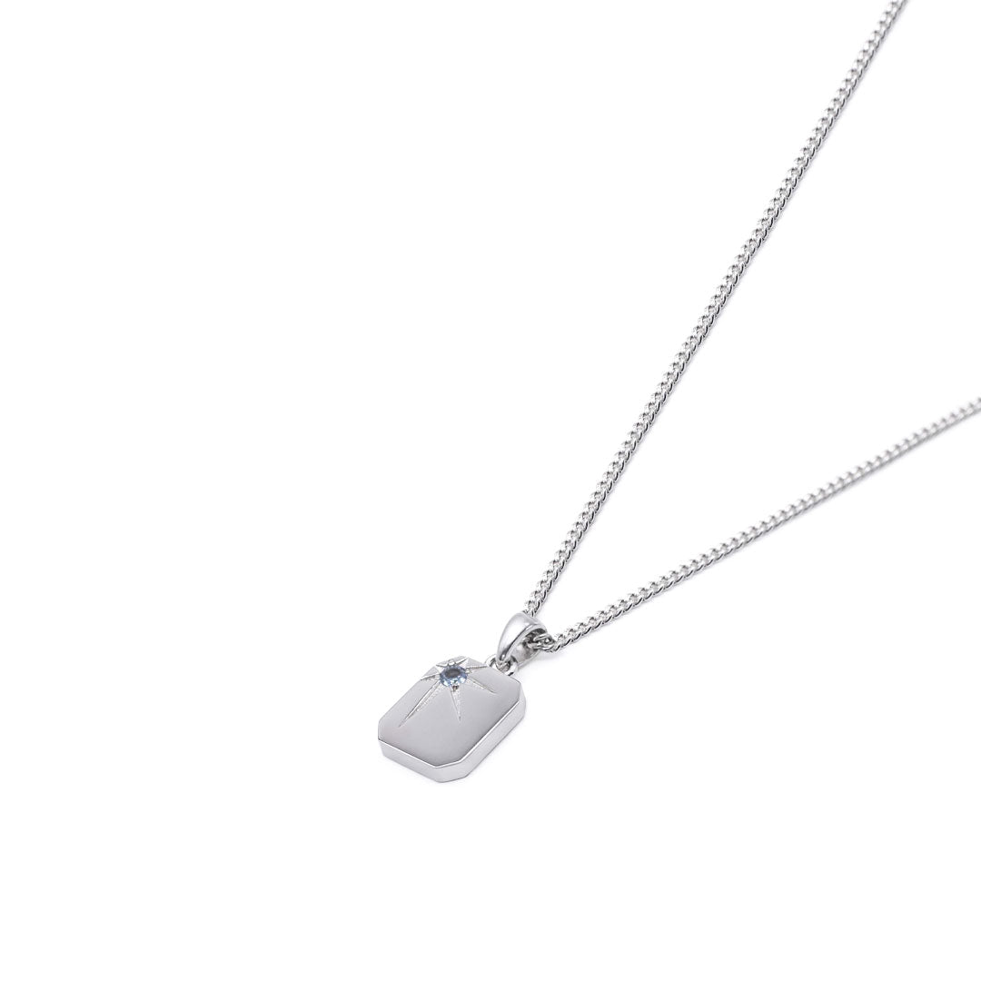 Silver Guardian Necklace