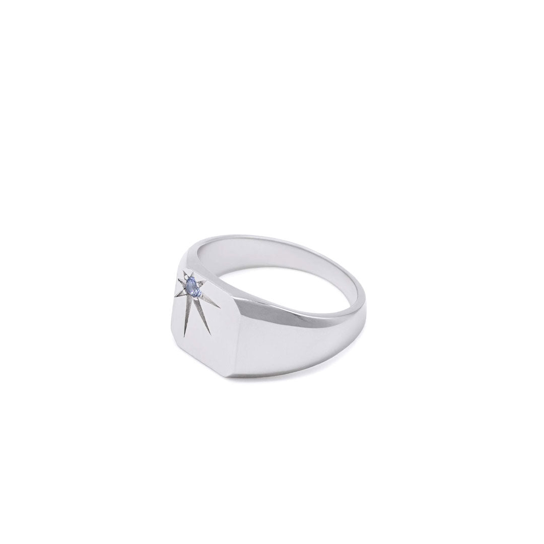 Silver Guardian Ring