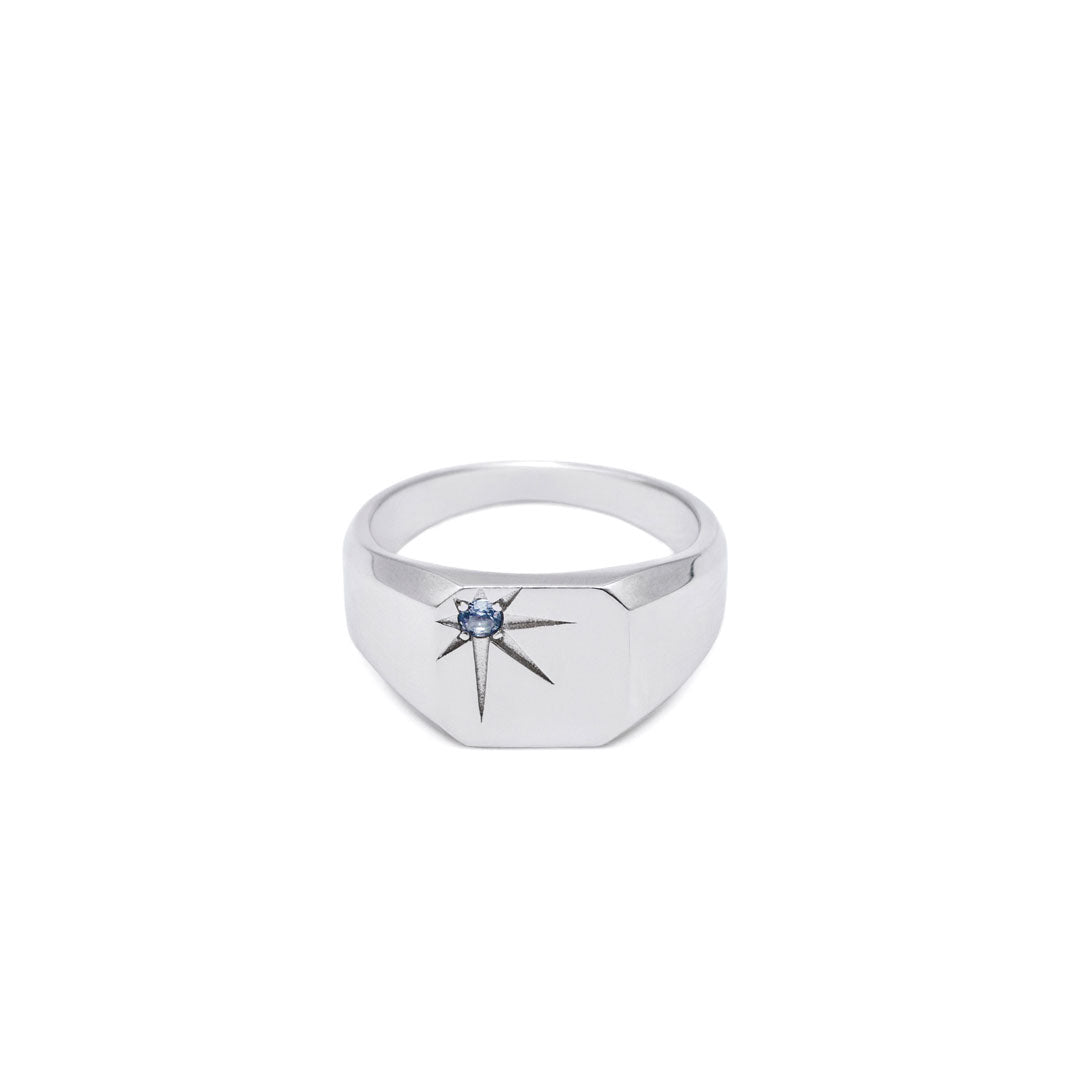 Silver Guardian Ring