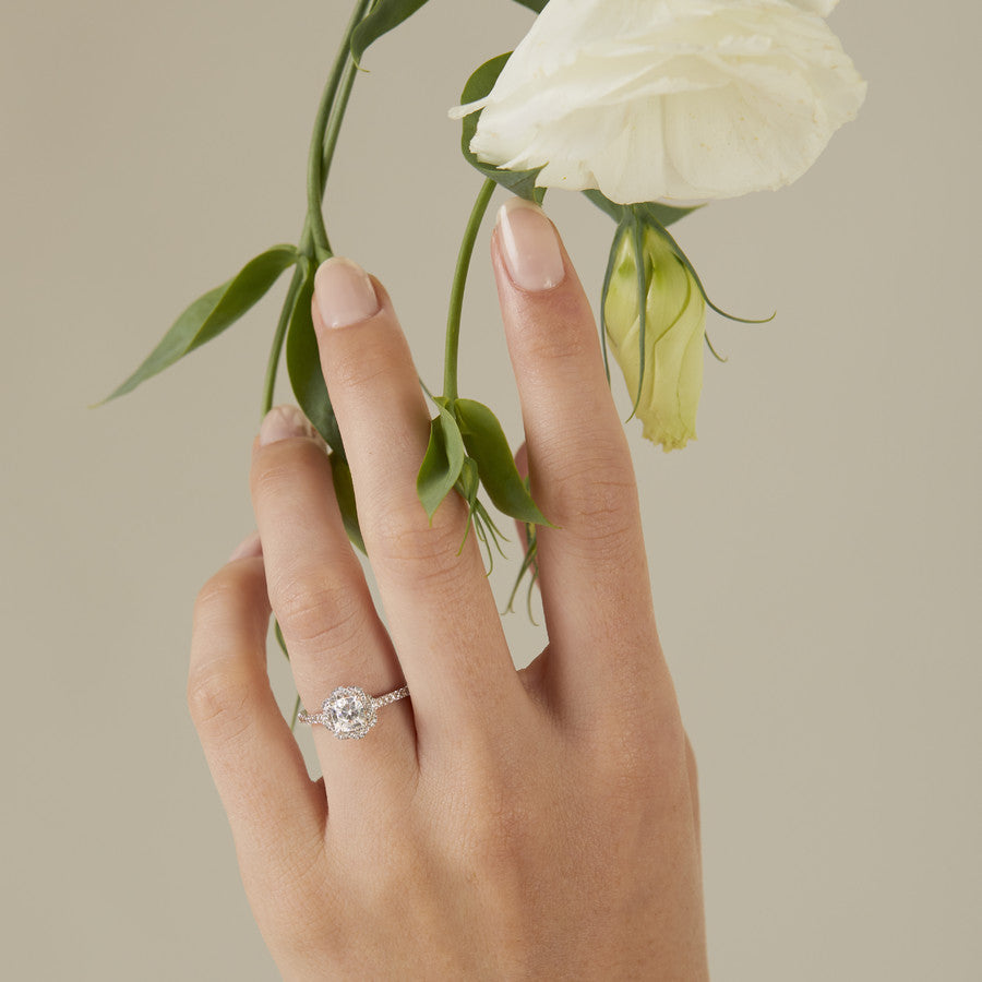 Twisted Cable Halo Round Moissanite Pave Engagement Ring