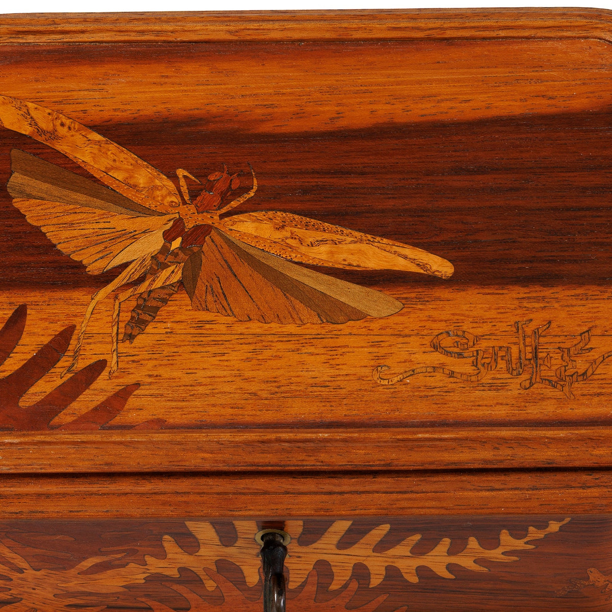 Émile Gallé Marquetry "Mayfly and Ferns" Coffret