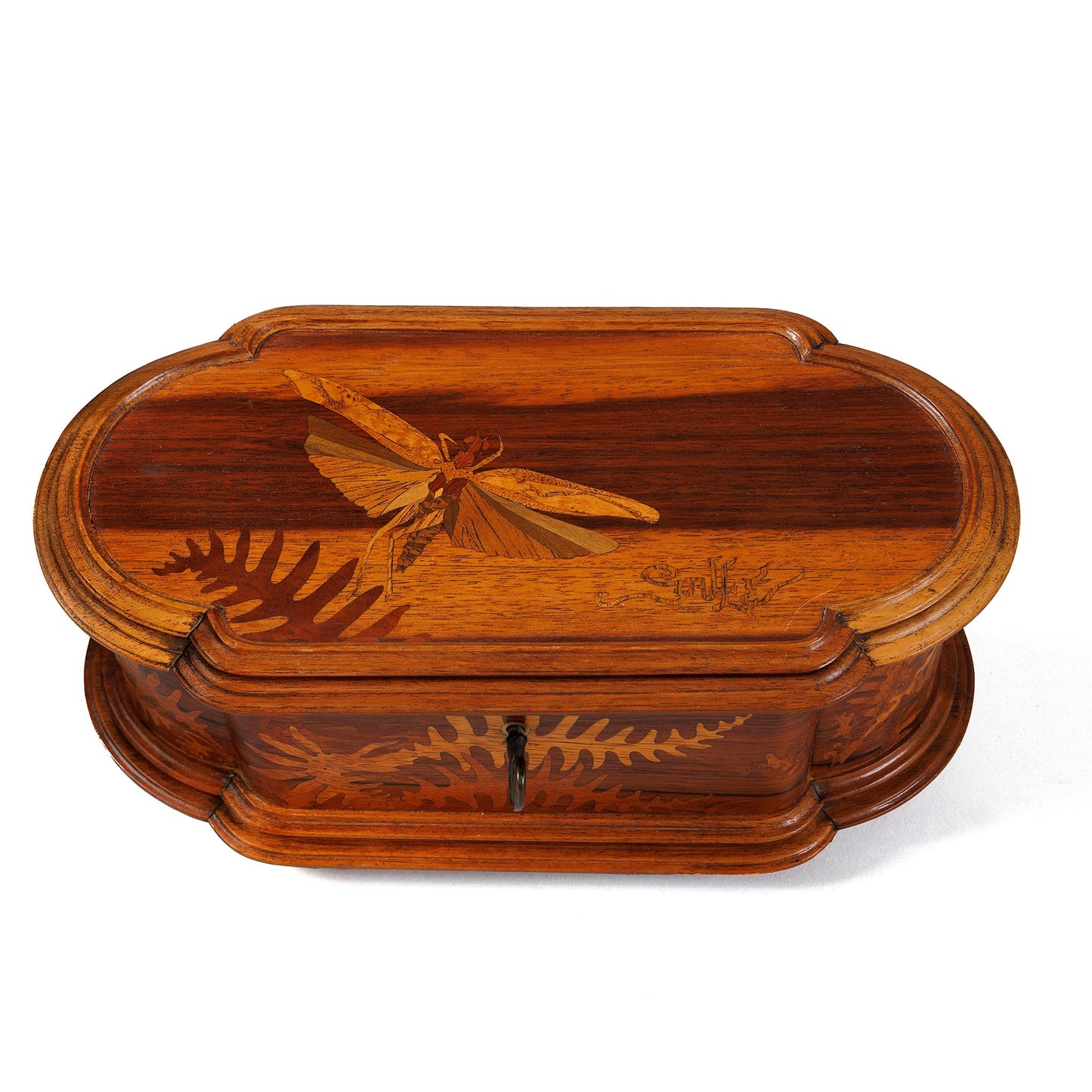 Émile Gallé Marquetry "Mayfly and Ferns" Coffret