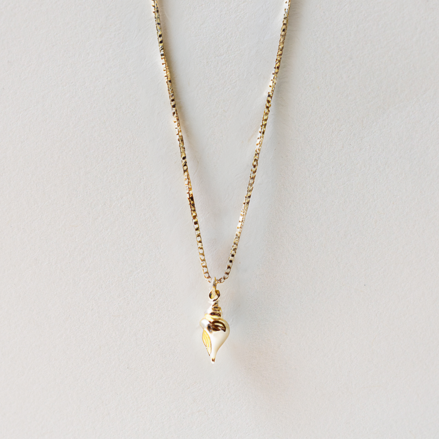 🎁 TULIP SHELL CHARM (100% off)