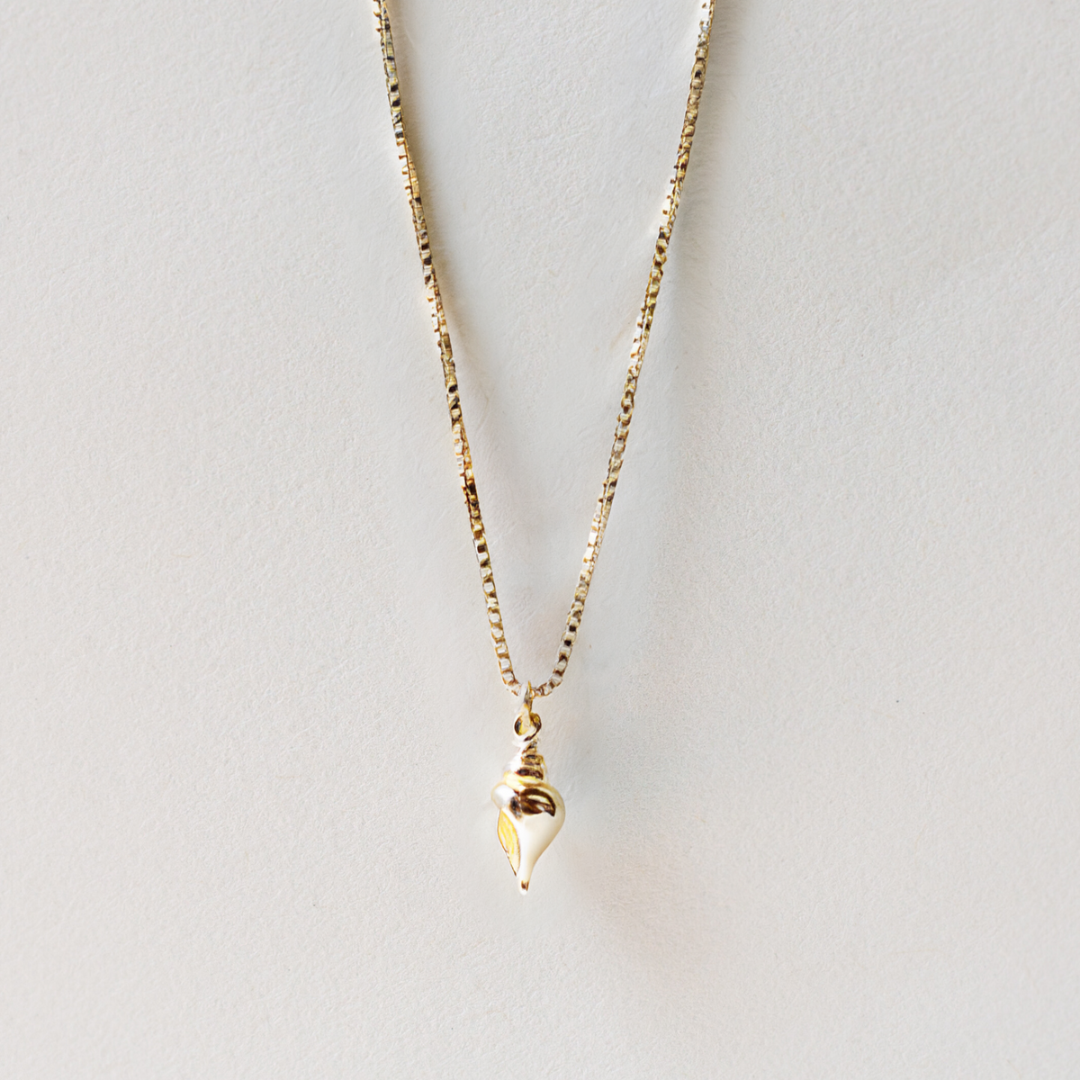 🎁 TULIP SHELL CHARM (100% off)