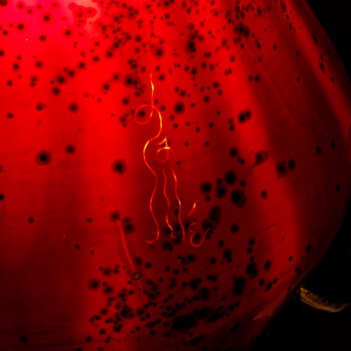 Émile Gallé "La Mer" Table Lamp