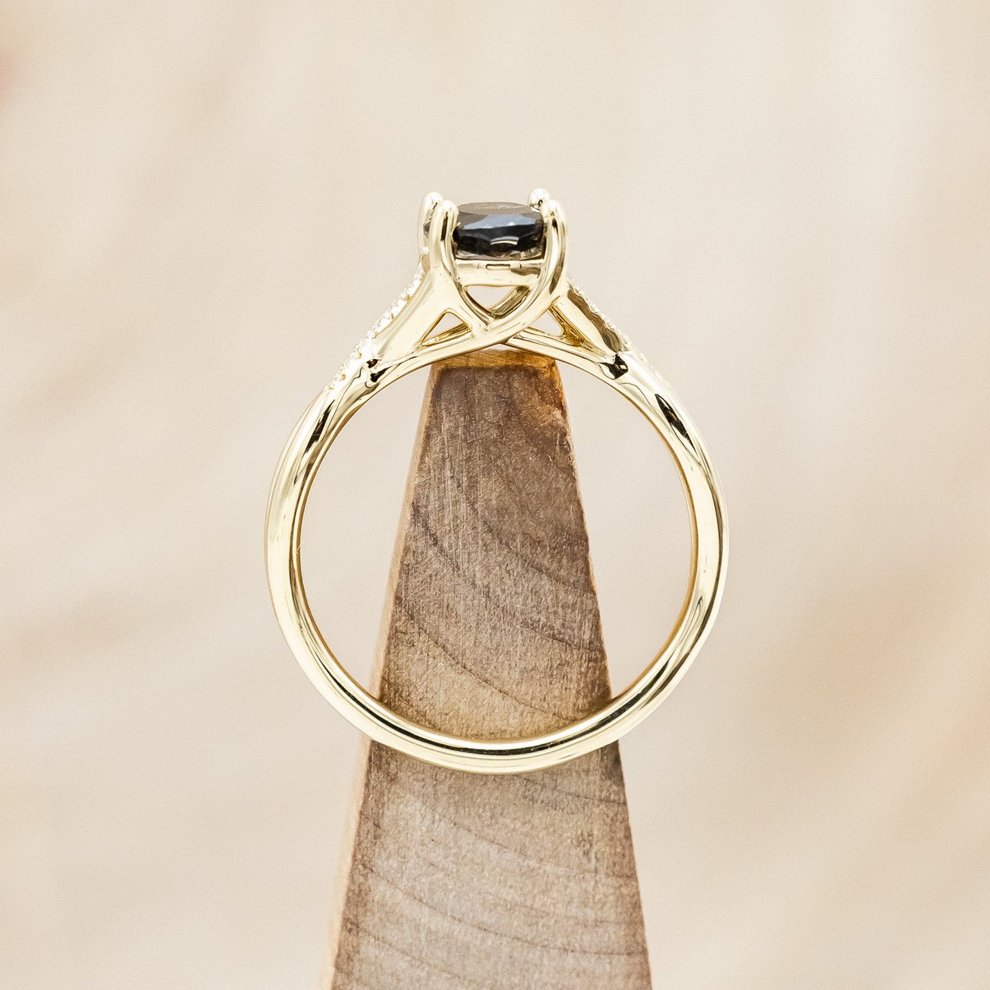 "Roslyn" - Salt & Pepper Diamond Engagement Ring With Diamond Accents