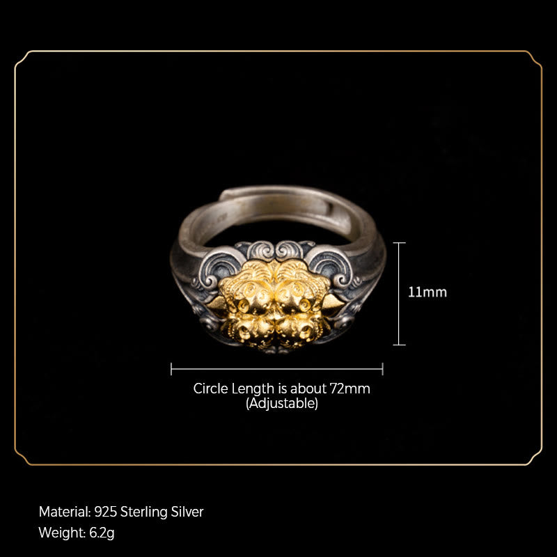 Fortune Jewel 925 Sterling Silver Tibetan Skull Protection Adjustable Ring
