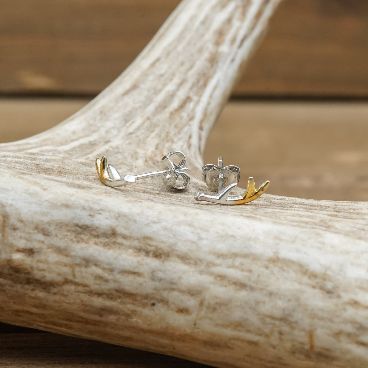 Antler Stud Earrings