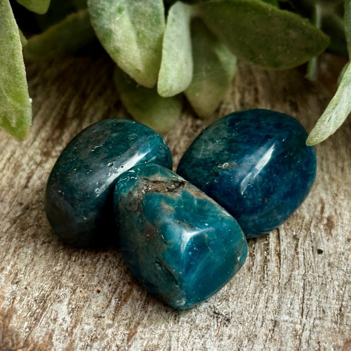 Apatite Touchstone
