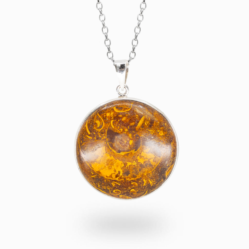 Ammonite Necklace