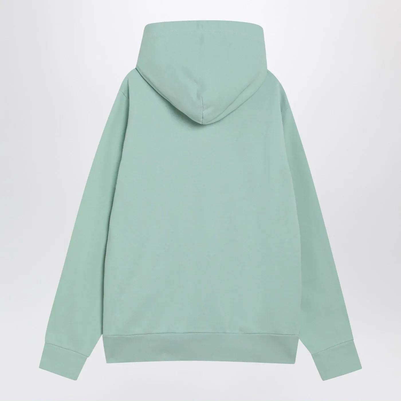 Polo Ralph Lauren - Aquamarine cotton hoodie