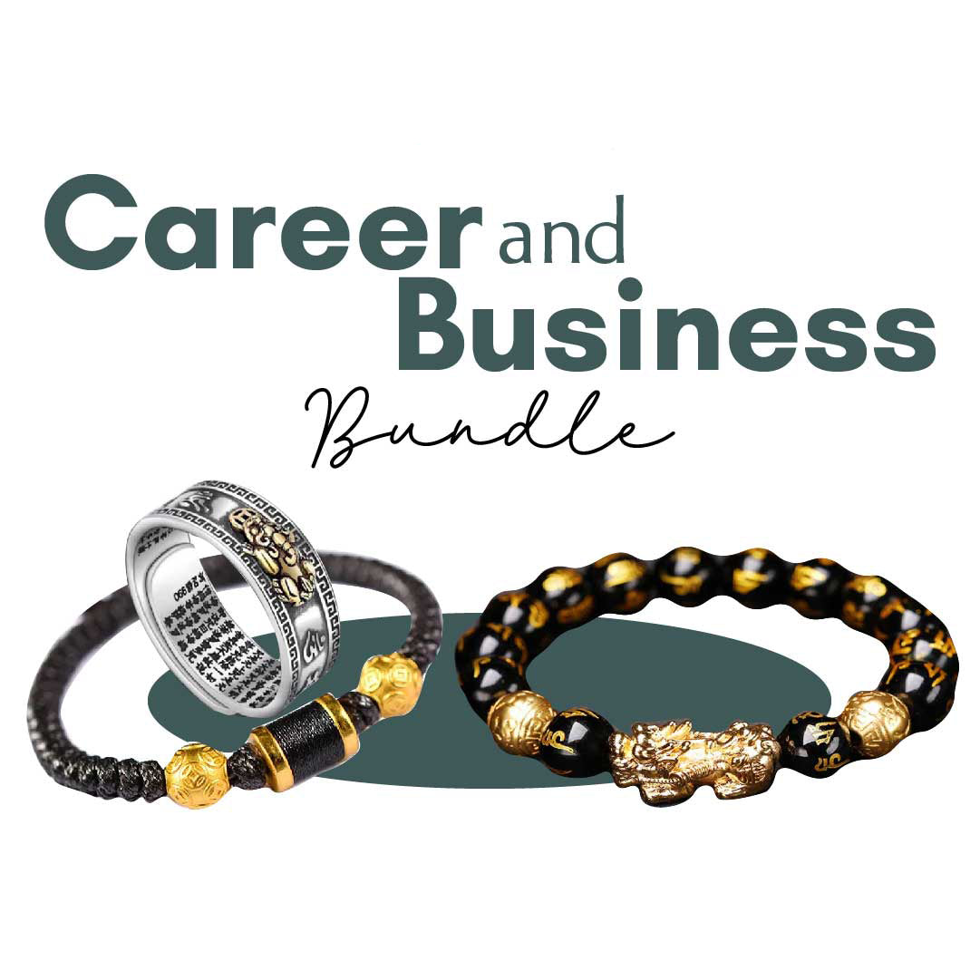 Career and Business Success Bundle