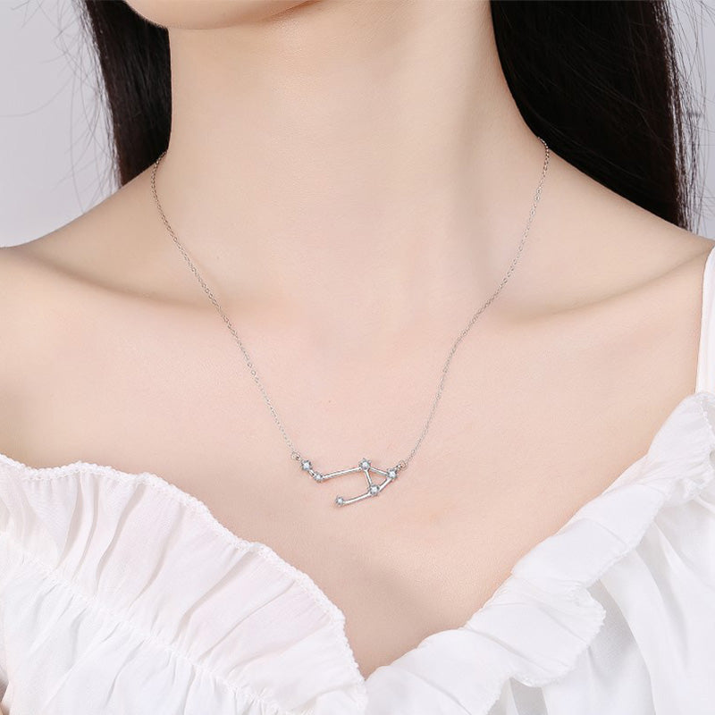 Fortune Jewel 925 Sterling Silver 12 Constellations of the Zodiac Astrology Blessing Necklace Pendant
