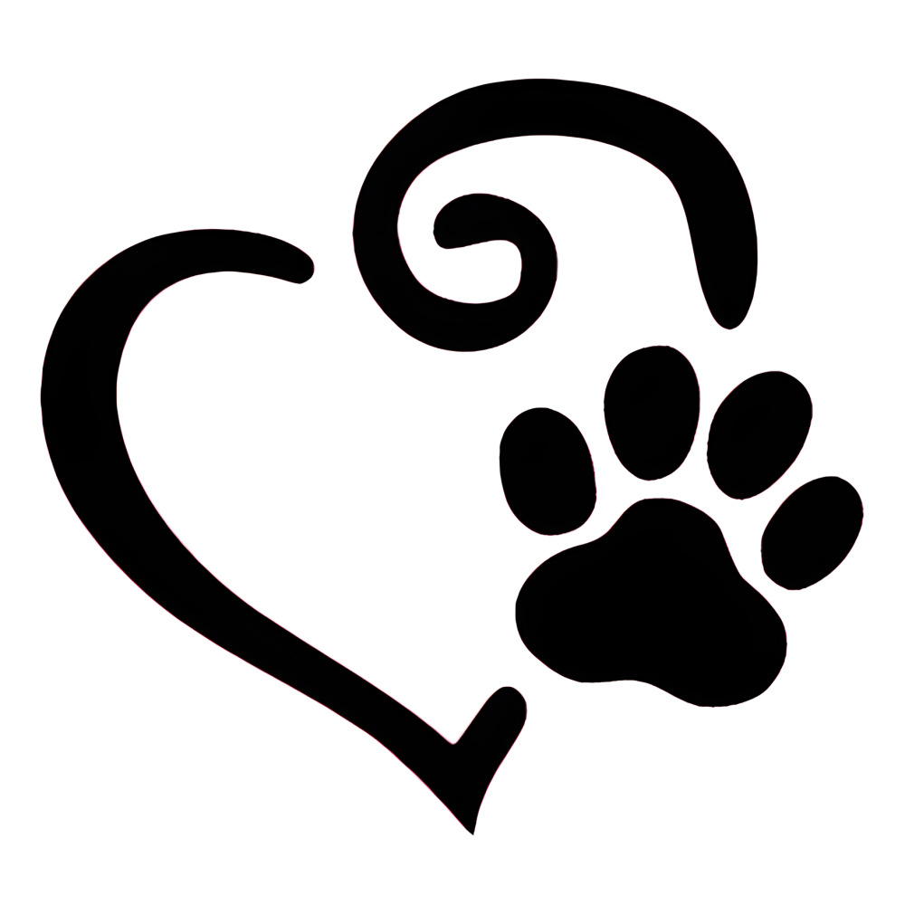 UPS Shipping for Nayelly González Ramírez