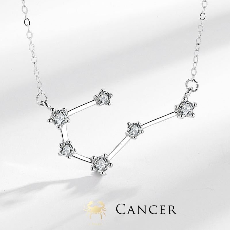 Fortune Jewel 925 Sterling Silver 12 Constellations of the Zodiac Astrology Blessing Necklace Pendant