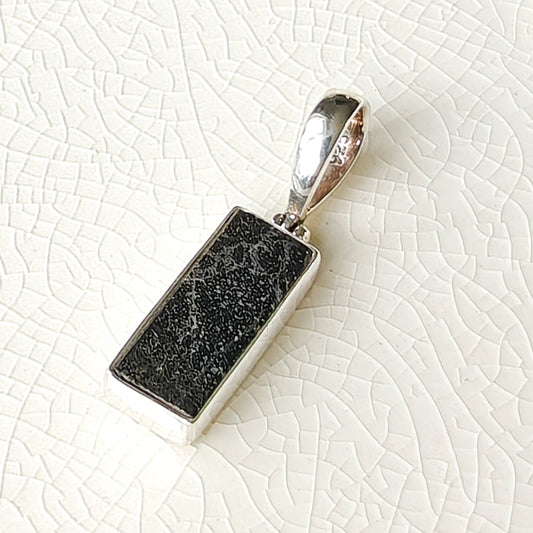 Dinosaur Fossil Pendant | Iguanodon | Jurassic Gift | Sterling Silver