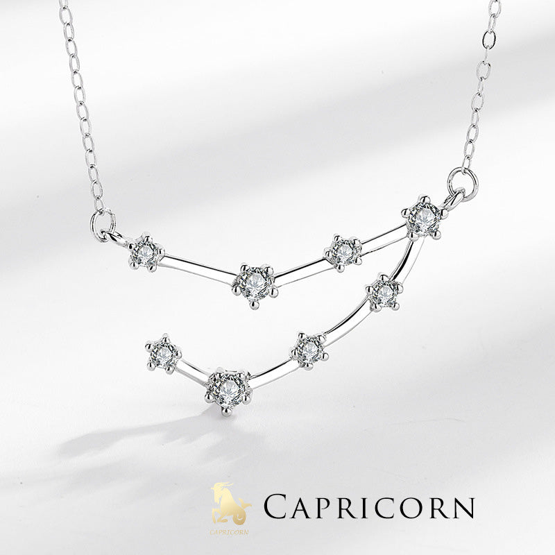 Fortune Jewel 925 Sterling Silver 12 Constellations of the Zodiac Astrology Blessing Necklace Pendant