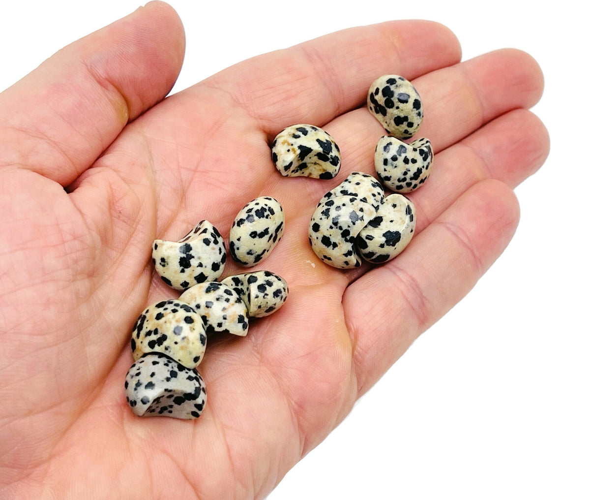 Dalmatian Jasper Gemstone Moon Puffy - 15x9mm - MO1079