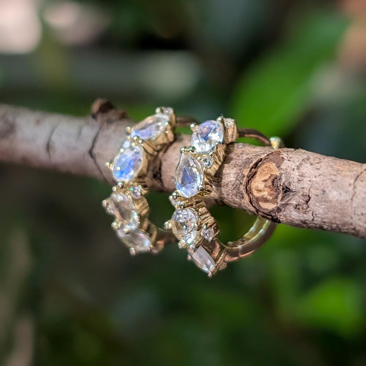 The Legacy Earrings - Moonstone Hoops