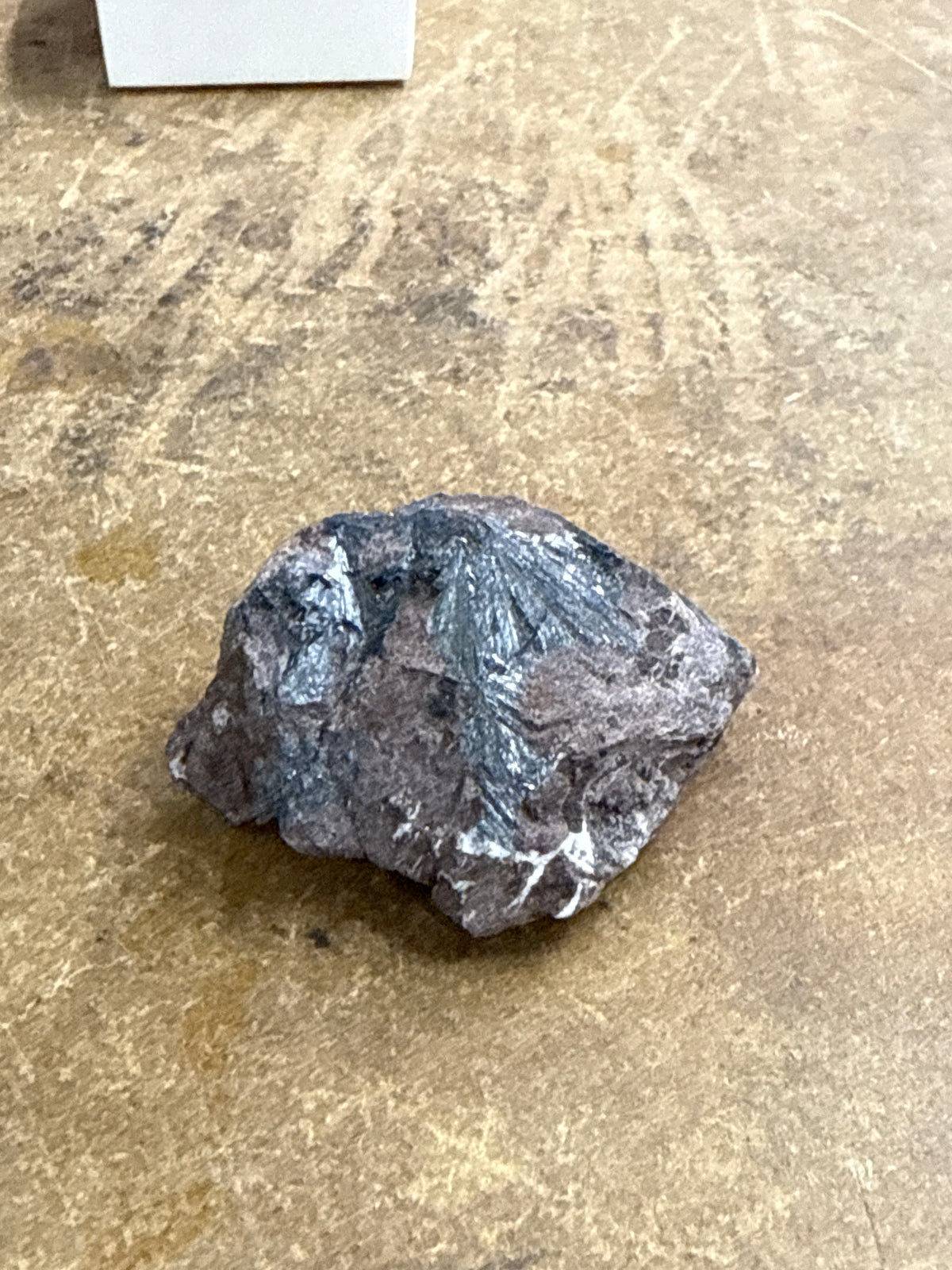 Pyrolusite (1)