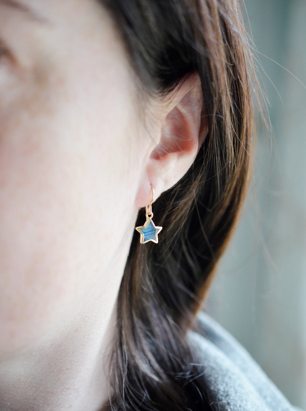 Labradorite Moon and Star Earrings