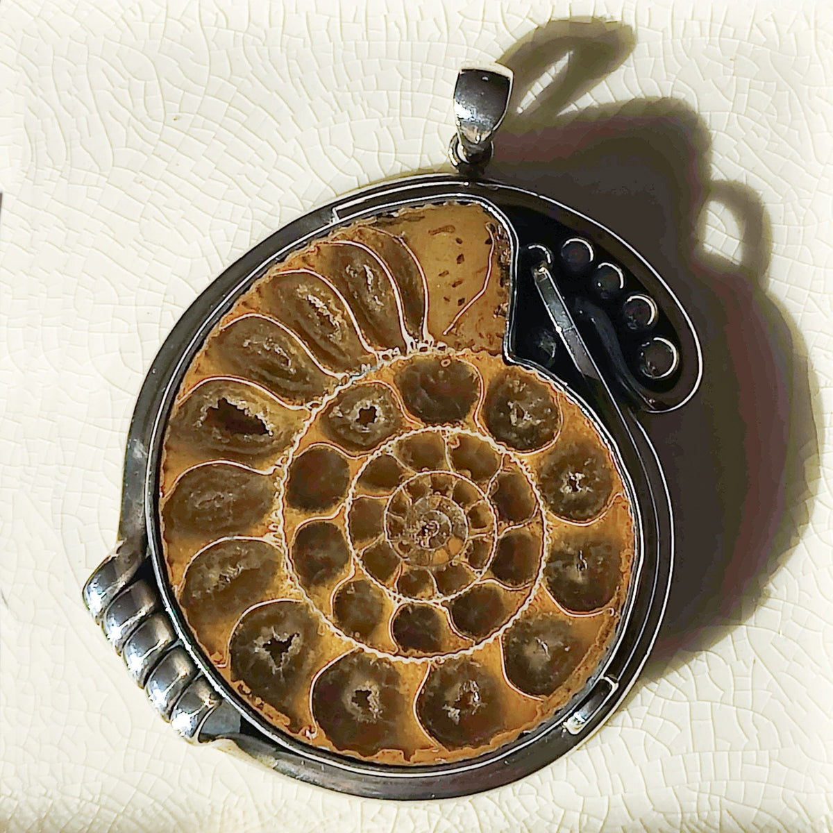 Madagascan Ammonite Pendant | 60mm Fossil | Ornate Setting | Sterling Silver