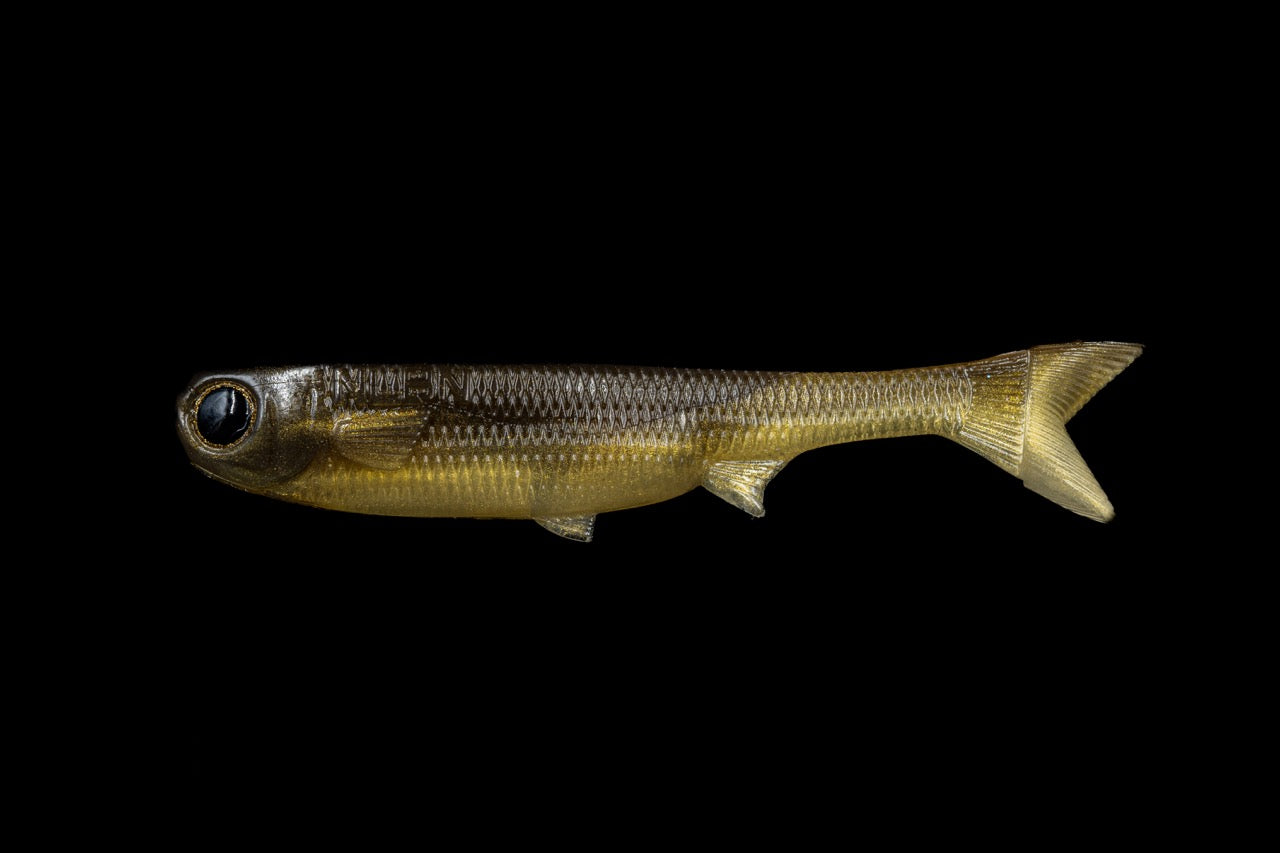 NLBN - K-Tails