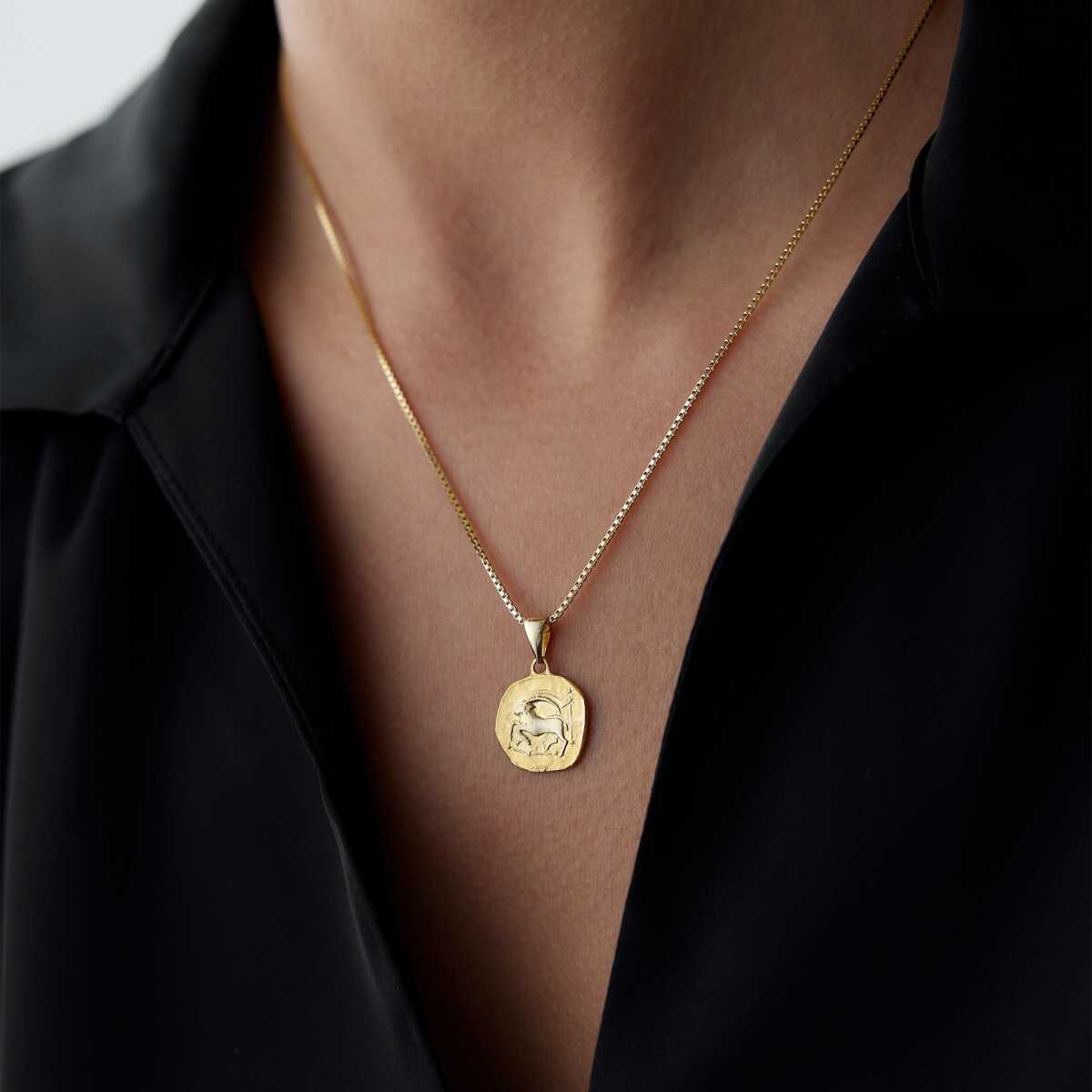 14k Gold Capricorn Necklace