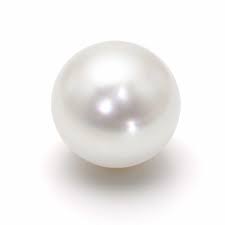 Mobius 7.5 mm 16 inch  Akoya Pearl Necklace