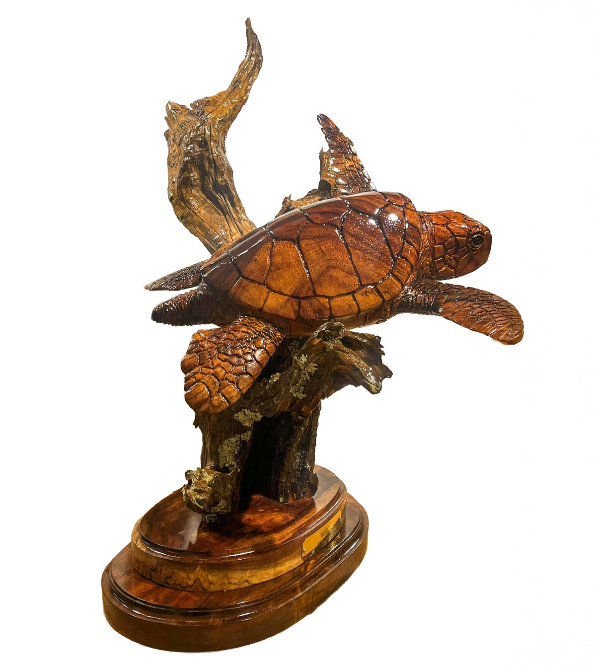 Wood Sculpture "Honu" by Craig Nichols