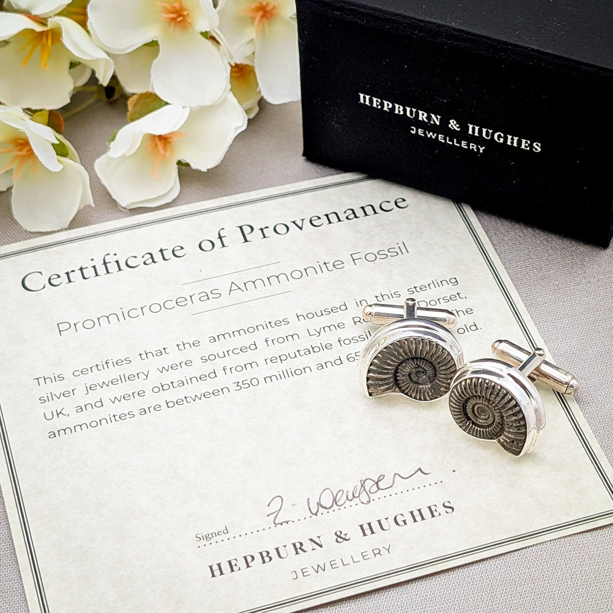 Promicroceras Ammonite Cufflinks | 20mm British Fossils | Sterling Silver