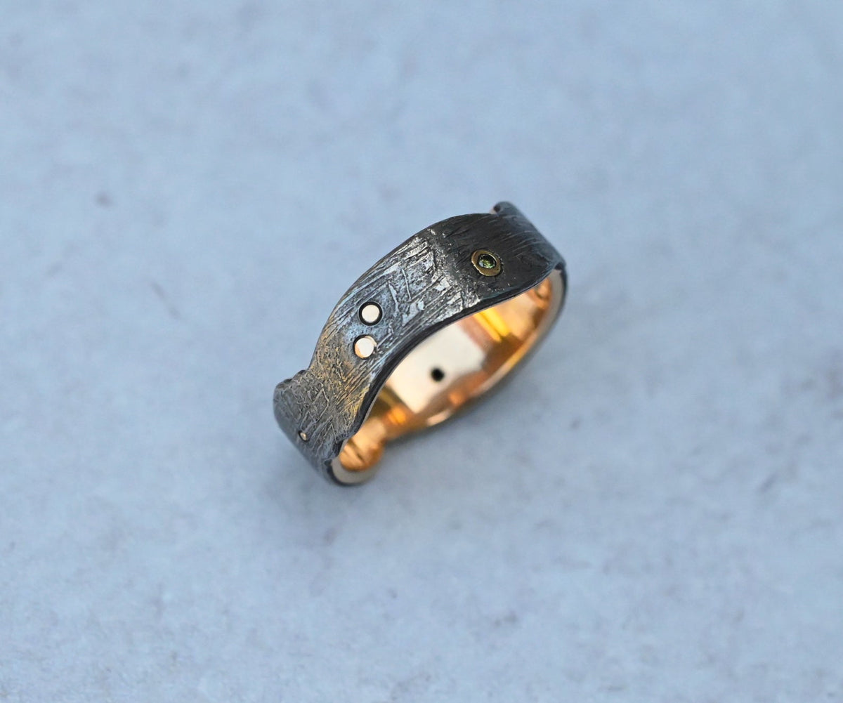 Meteorite 14k Gold Dot & Sapphire Ring - Made To Order