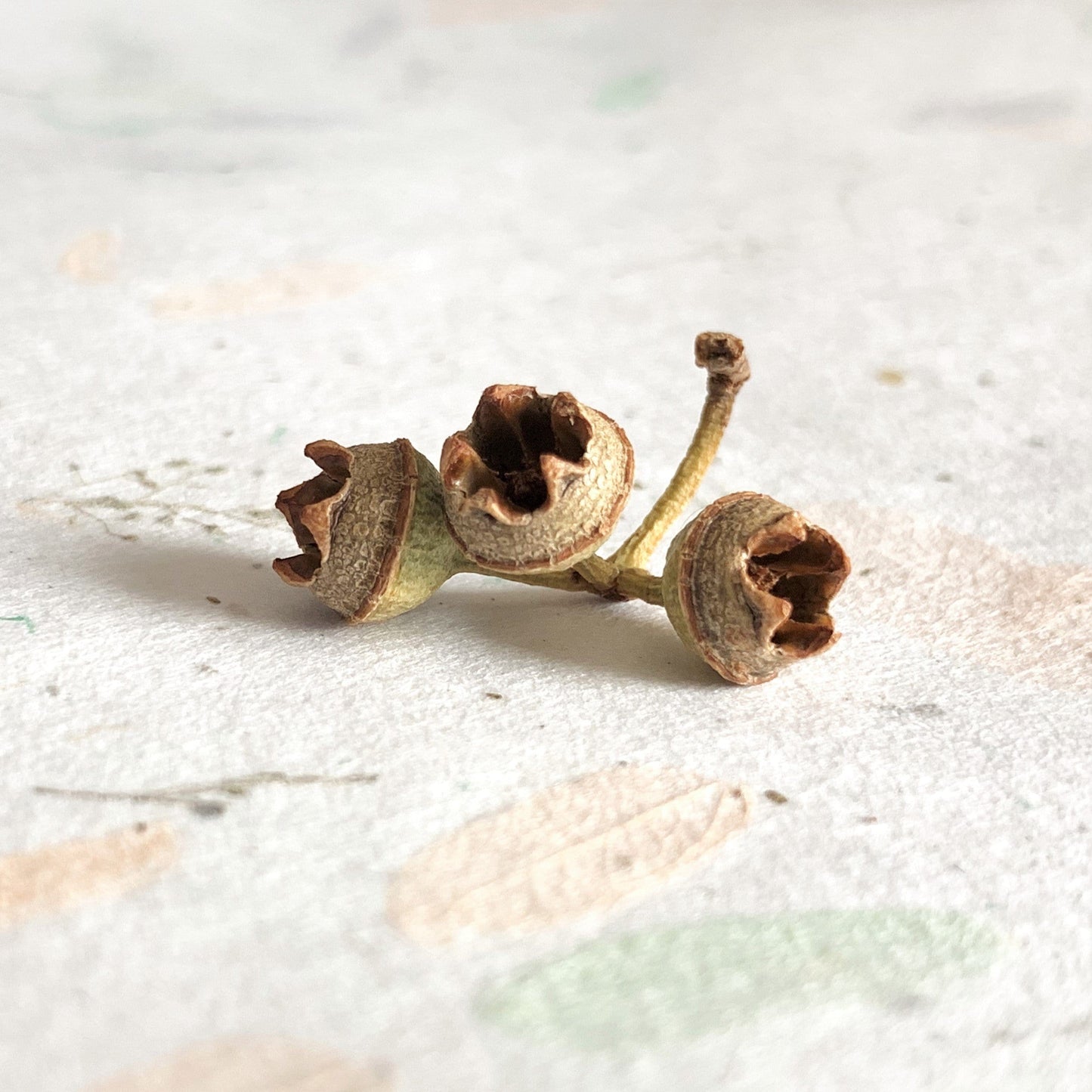 Moissanite Twig Engagement Ring