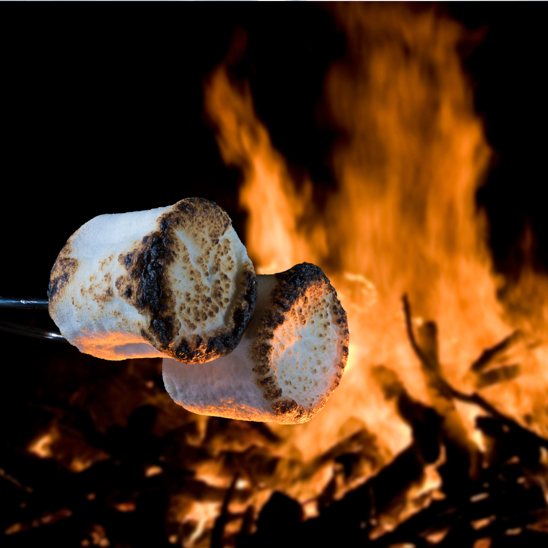 S'mores Bar