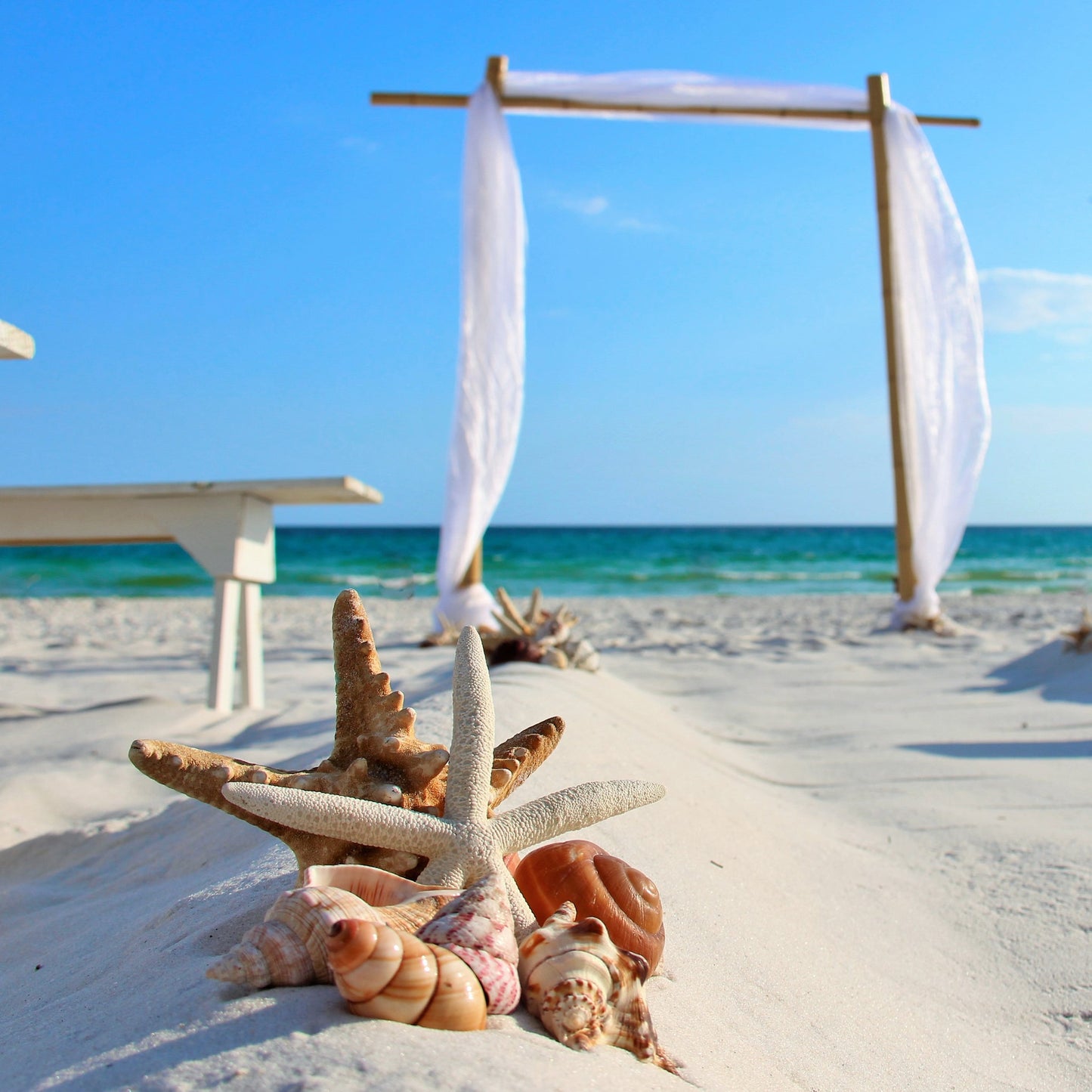 Starfish & Seashell Aisle Markers