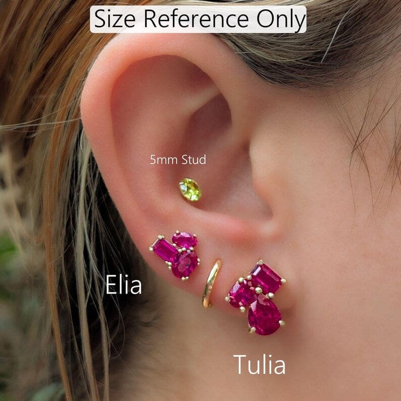 The Tulia - Lesbian Flag Cluster Studs