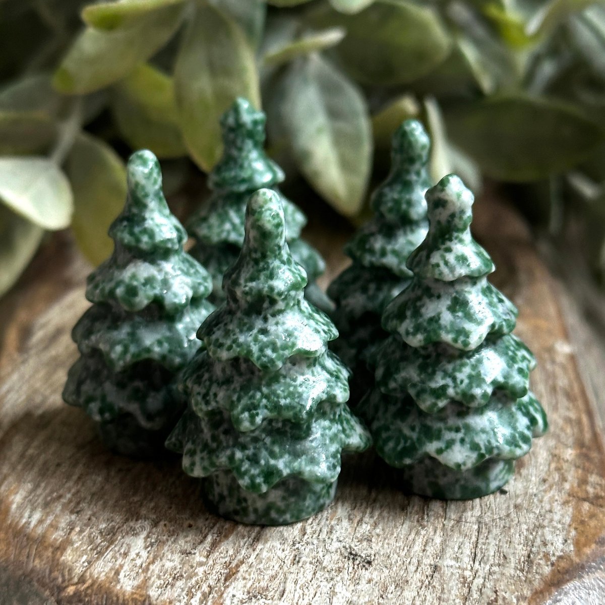 Tree Agate