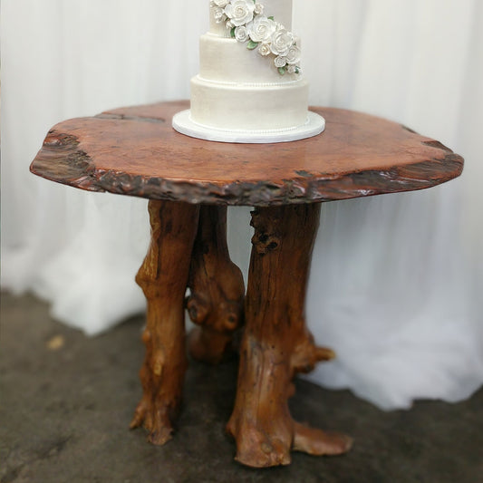 Live Edge Tree Trunk Table