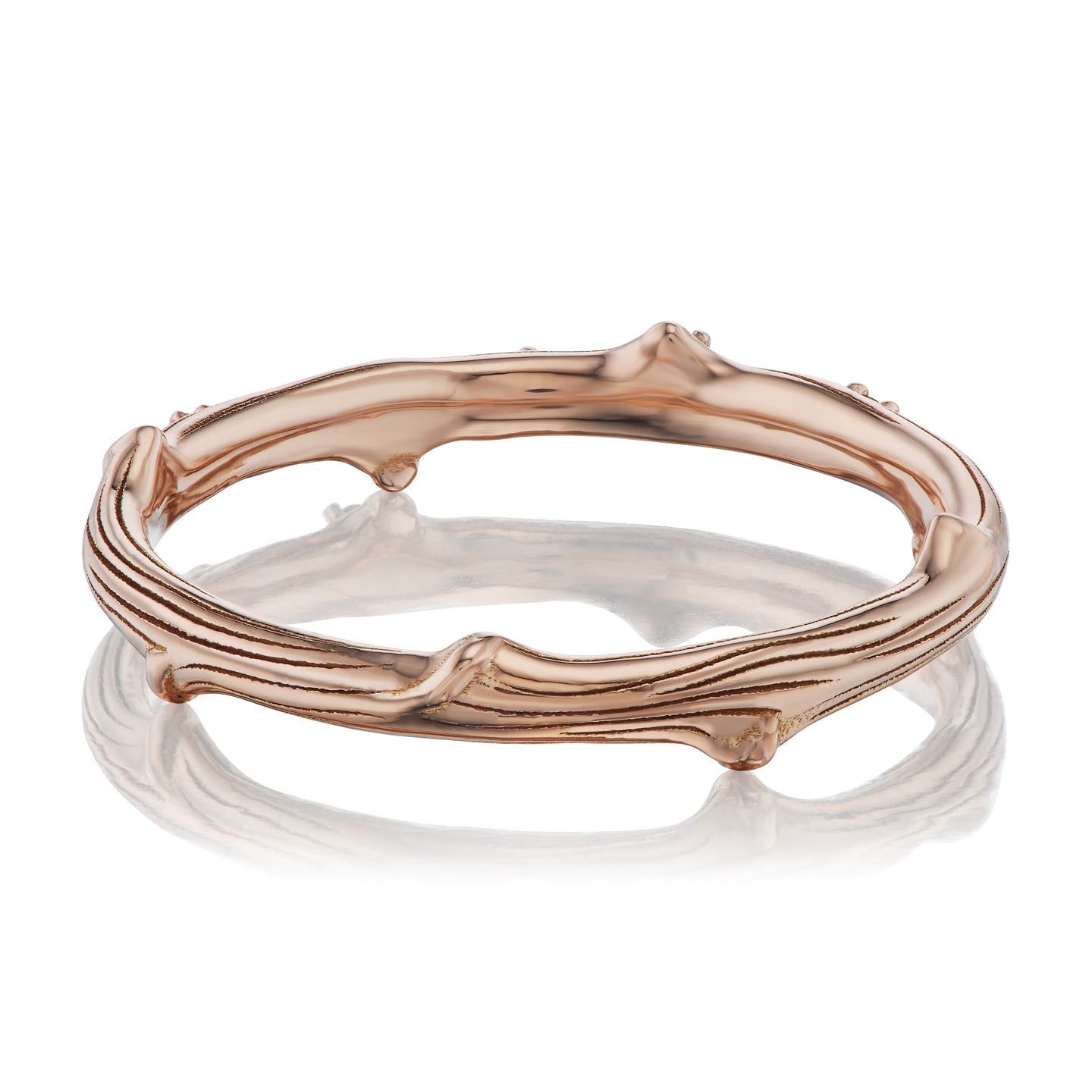 ・TWIG BAND・