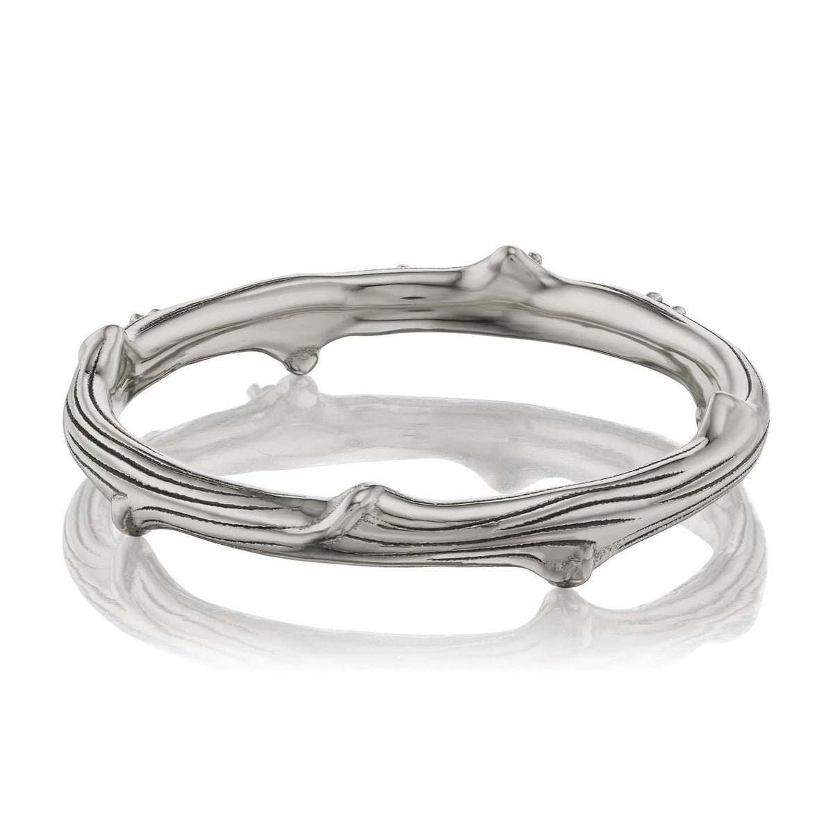 ・TWIG BAND・