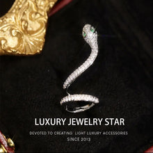 Load image into Gallery viewer, 【New Arrival】Alloy temperament designer style snake-shaped surround ear stud
